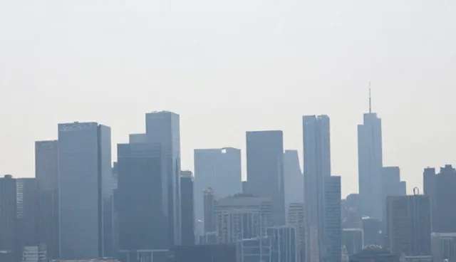 信息技术咨询中系统实施成本控制的建议